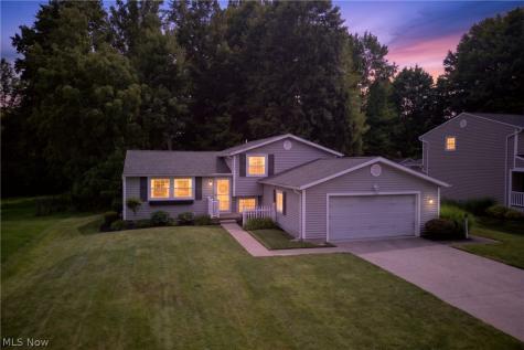1664 Tinkers View Drive Twinsburg OH 44087