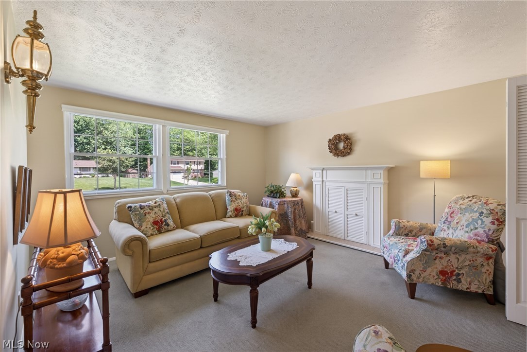 1664 Tinkers View Drive Twinsburg OH 44087
