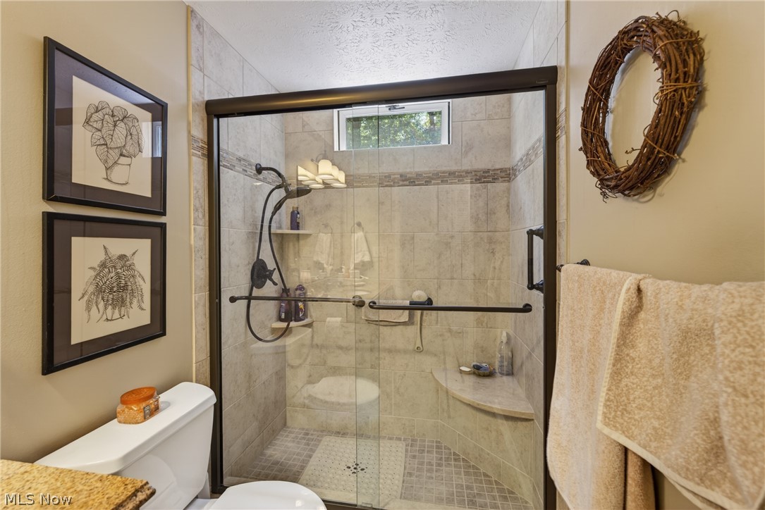 1664 Tinkers View Drive Twinsburg OH 44087