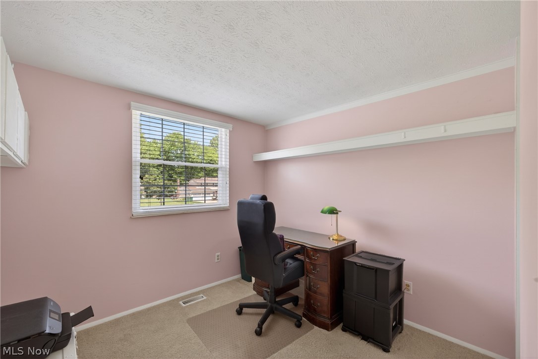 1664 Tinkers View Drive Twinsburg OH 44087