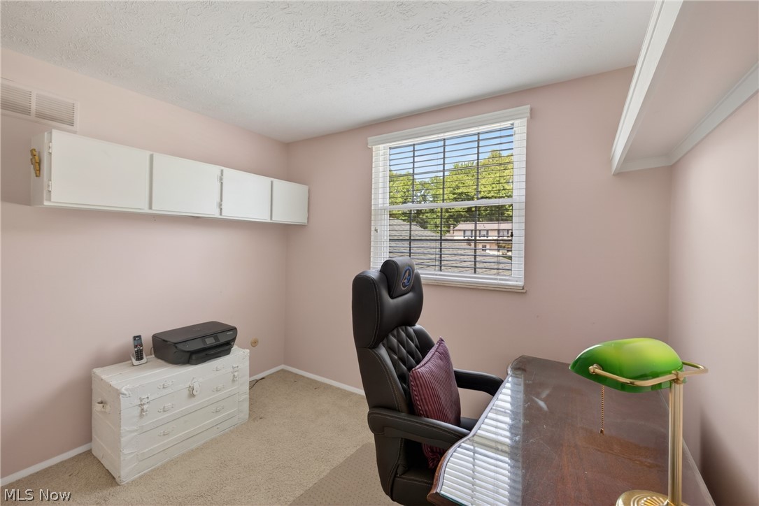 1664 Tinkers View Drive Twinsburg OH 44087