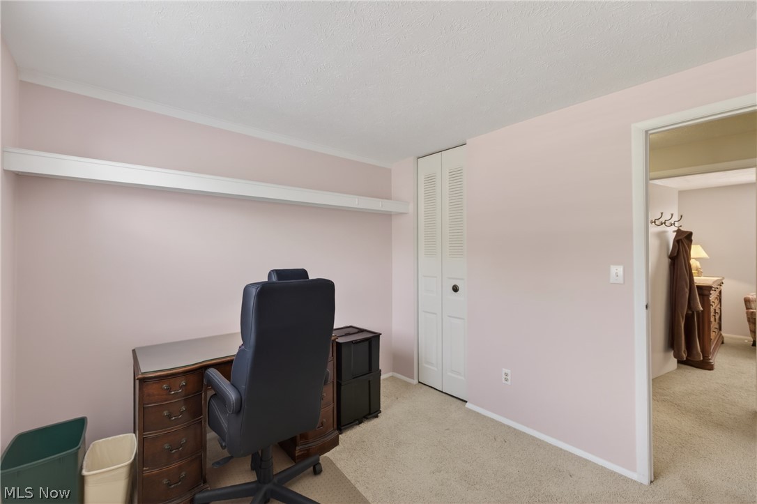 1664 Tinkers View Drive Twinsburg OH 44087