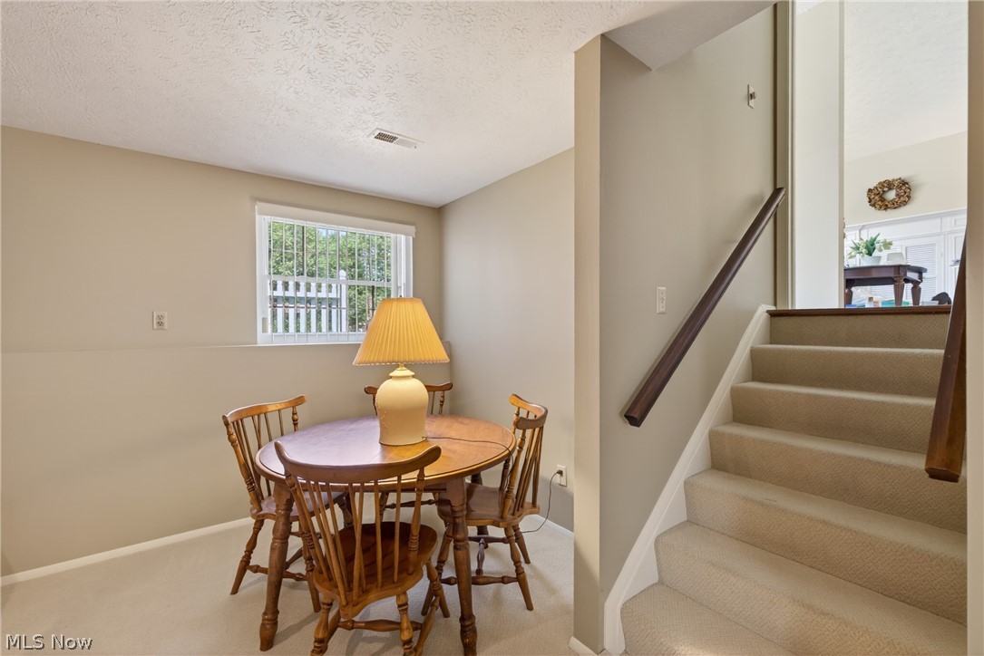 1664 Tinkers View Drive Twinsburg OH 44087