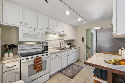 1664 Tinkers View Drive Twinsburg OH 44087
