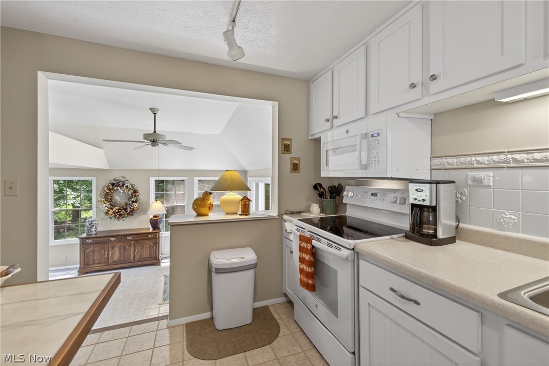 1664 Tinkers View Drive Twinsburg OH 44087