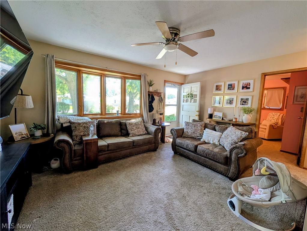 4762 Homewood Drive Mentor OH 44060