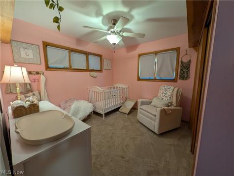 4762 Homewood Drive Mentor OH 44060
