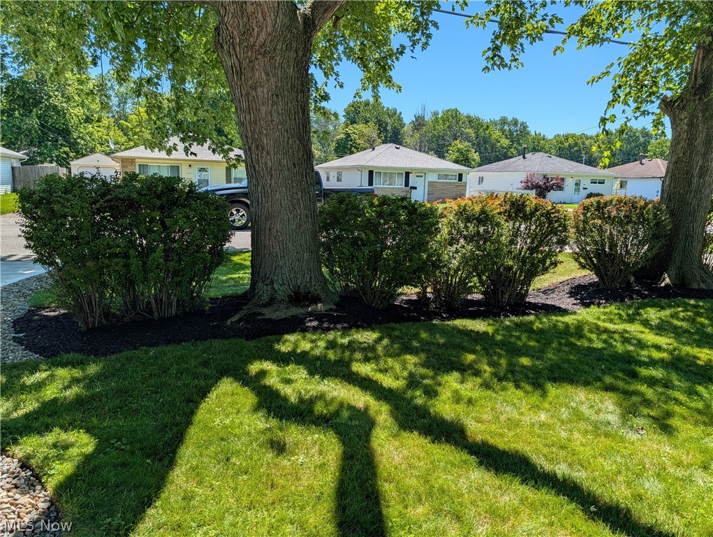 4762 Homewood Drive Mentor OH 44060