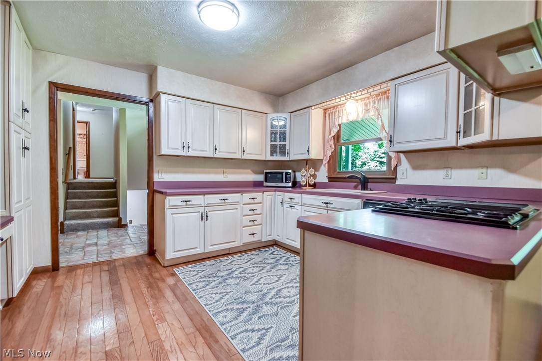 9412 Beaver Creek Drive Mentor OH 44060