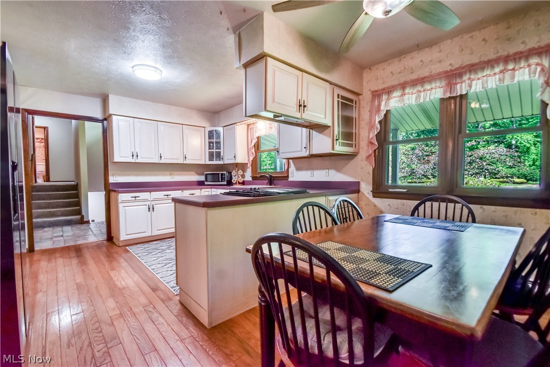 9412 Beaver Creek Drive Mentor OH 44060