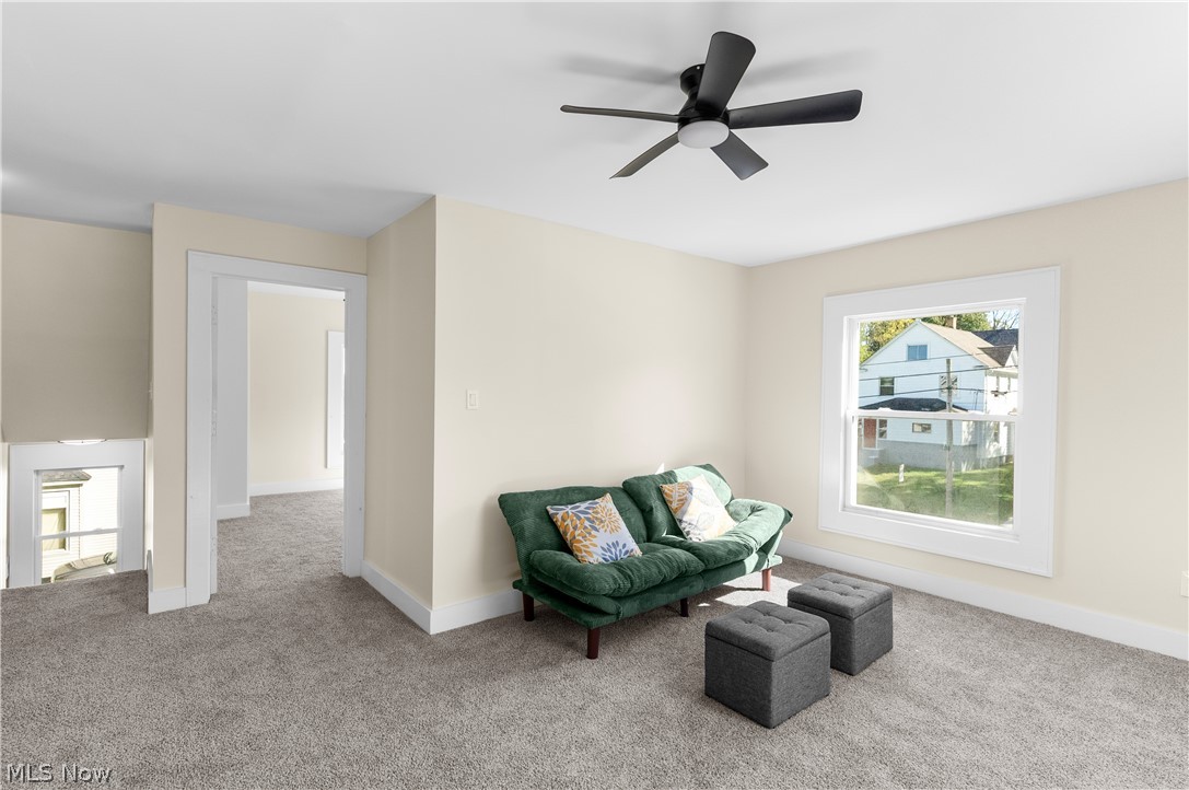 153 Elm Street Struthers OH 44471