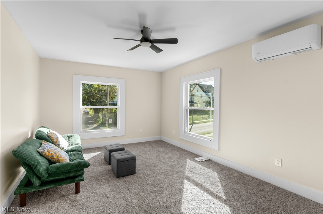153 Elm Street Struthers OH 44471