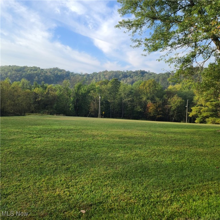 2709 Cr 11 Dillonvale OH 43917