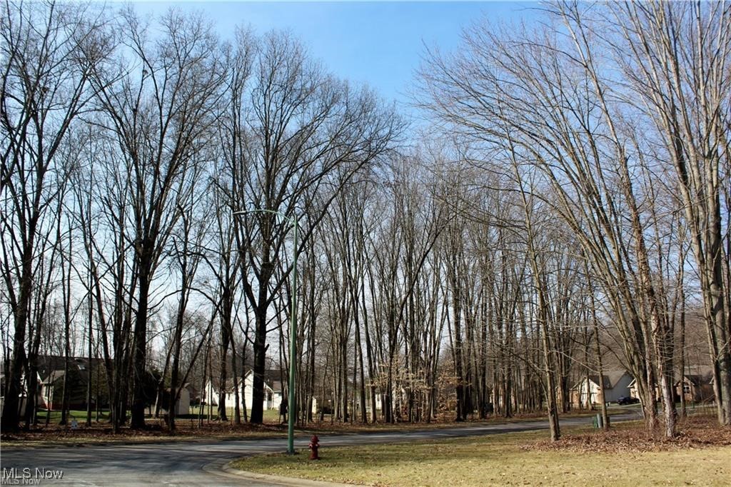 125 Lucretia Lane Columbiana OH 44408