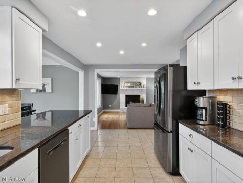 3577 Antony Drive Broadview Heights OH 44147