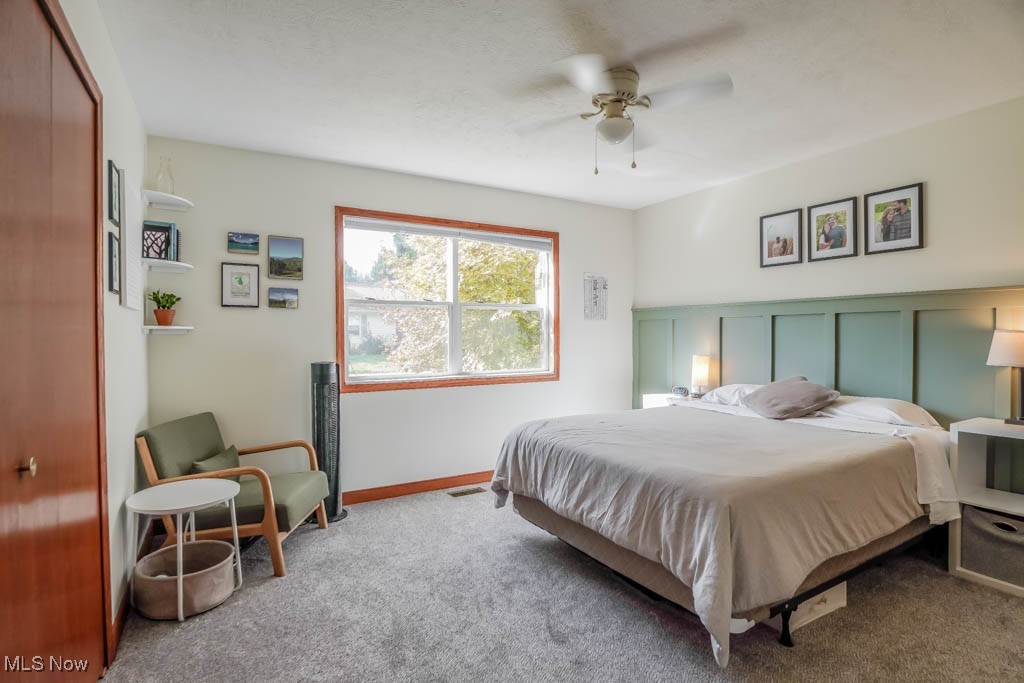 115 Sabetha Place Akron OH 44313