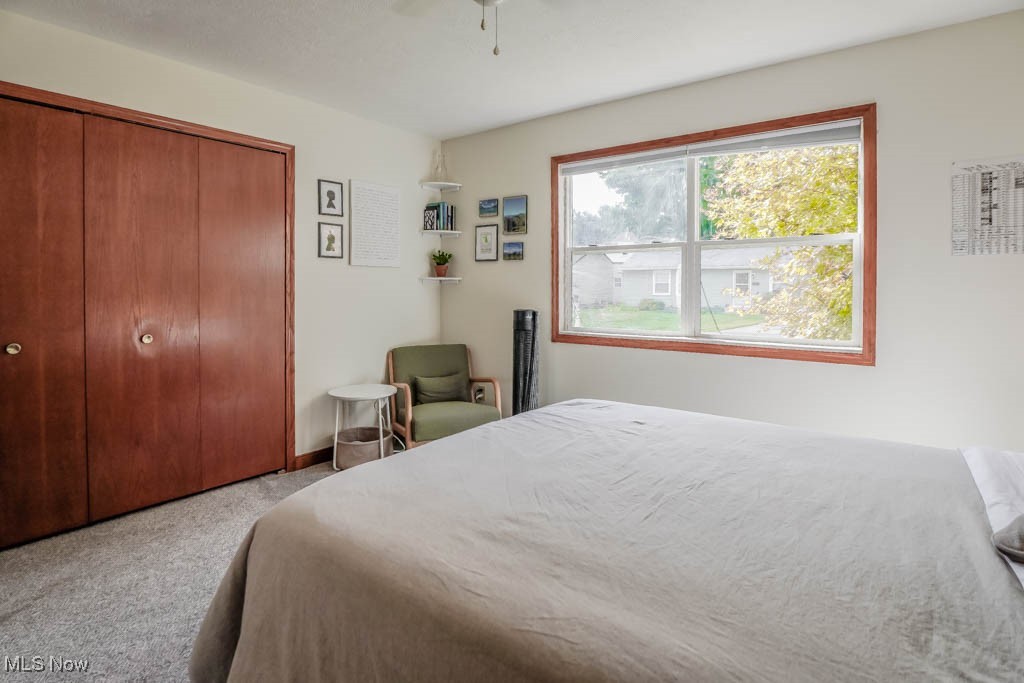 115 Sabetha Place Akron OH 44313