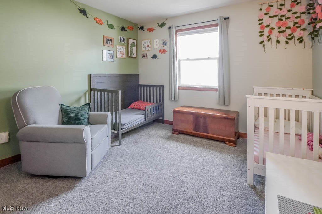 115 Sabetha Place Akron OH 44313