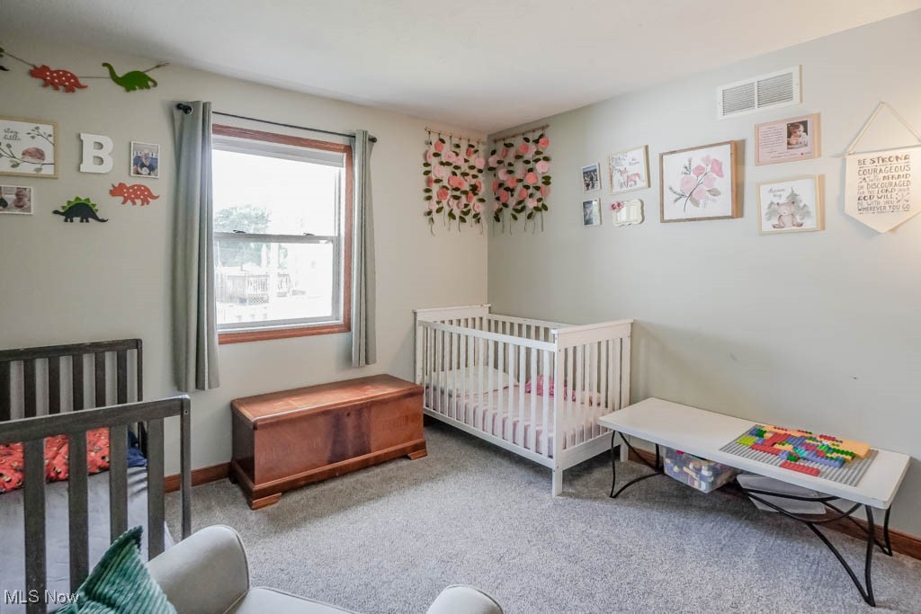 115 Sabetha Place Akron OH 44313