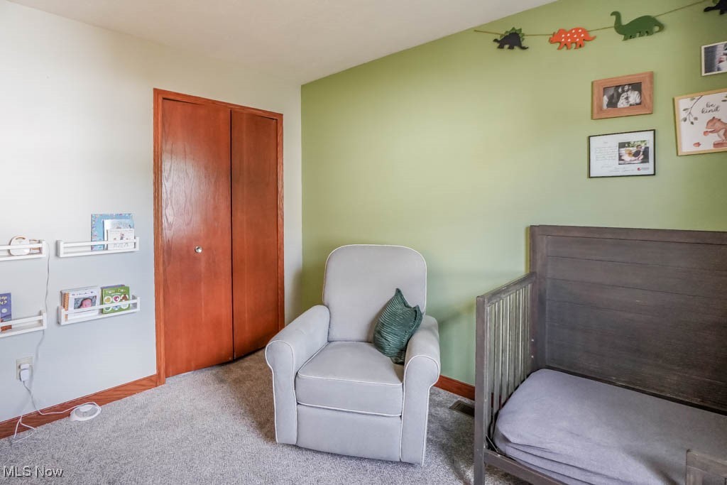 115 Sabetha Place Akron OH 44313