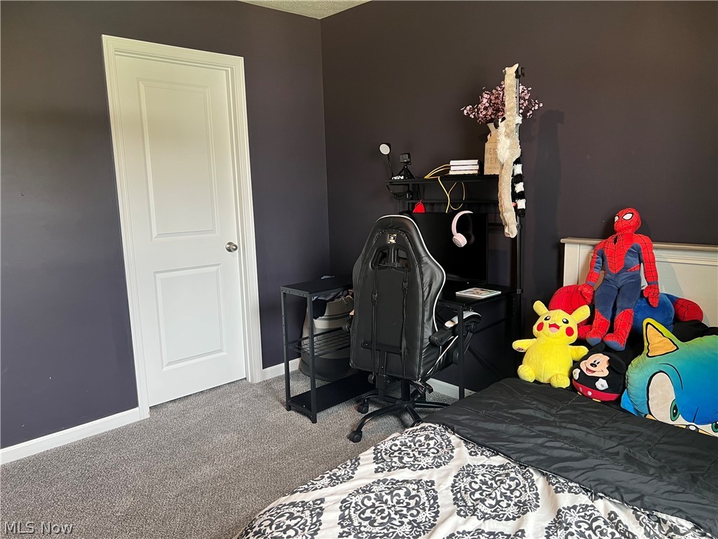 3915 Higgins Drive Norton OH 44203