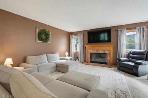 1173 Partridge Drive Wadsworth OH 44281