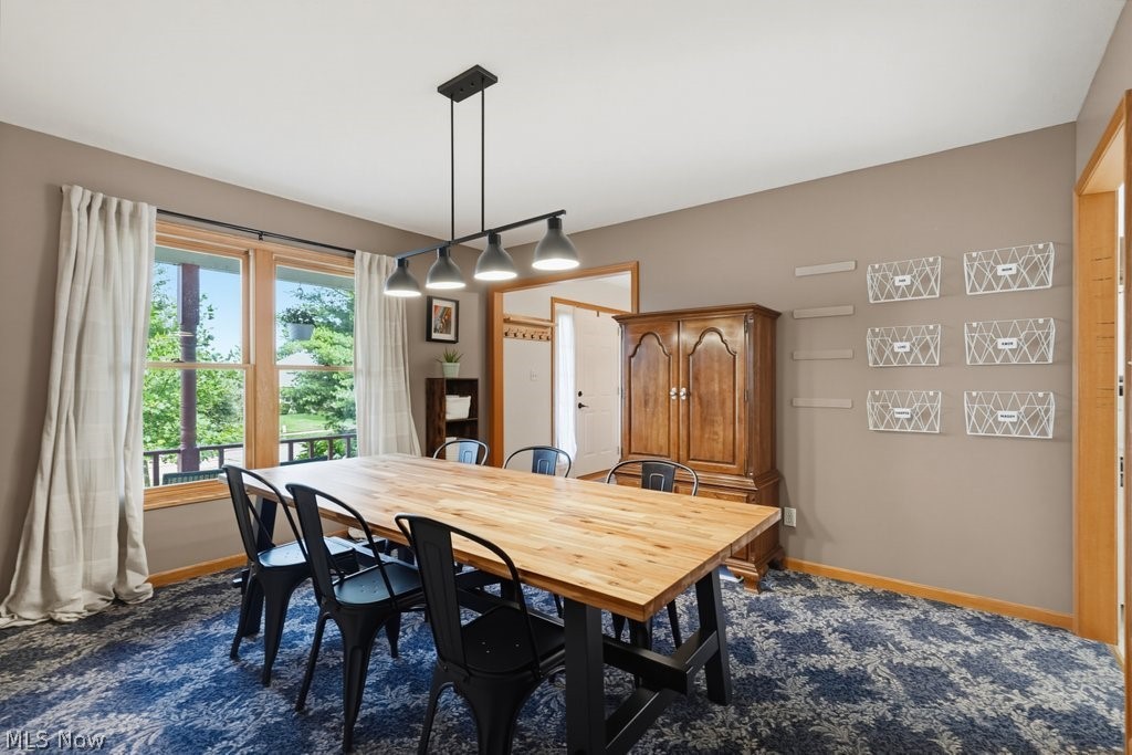 1173 Partridge Drive Wadsworth OH 44281