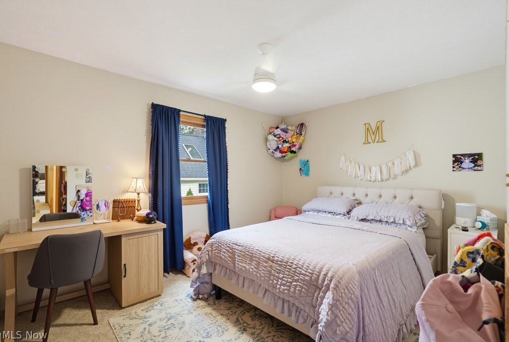 1173 Partridge Drive Wadsworth OH 44281