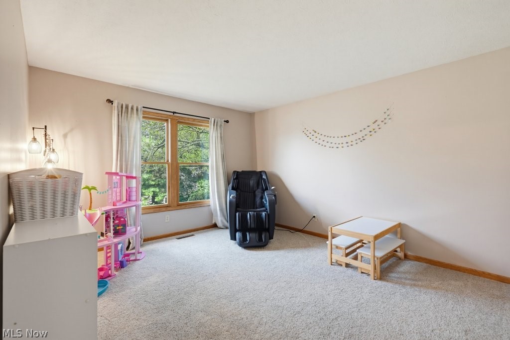 1173 Partridge Drive Wadsworth OH 44281