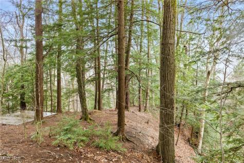 1364 Echo Glen Gates Mills OH 44040