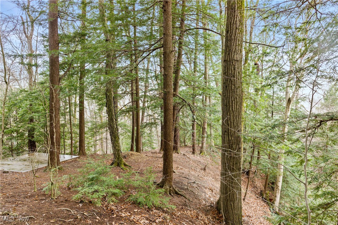 1364 Echo Glen Gates Mills OH 44040