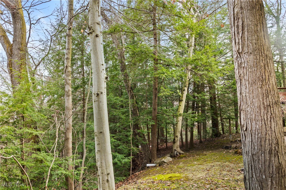 1364 Echo Glen Gates Mills OH 44040