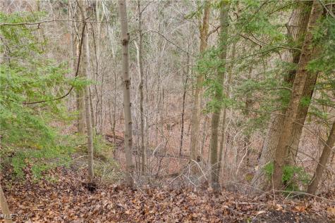 1364 Echo Glen Gates Mills OH 44040