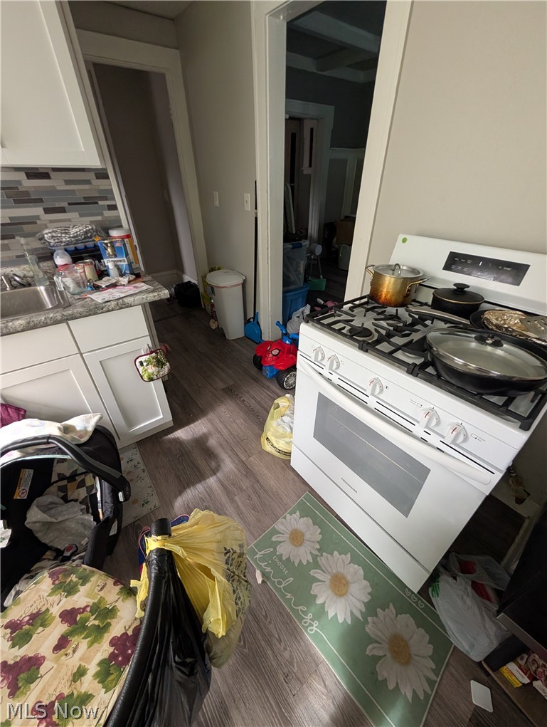 1381 E 93rd Street Cleveland OH 44106