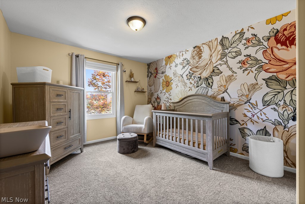 2517 Norton Road Hudson OH 44236
