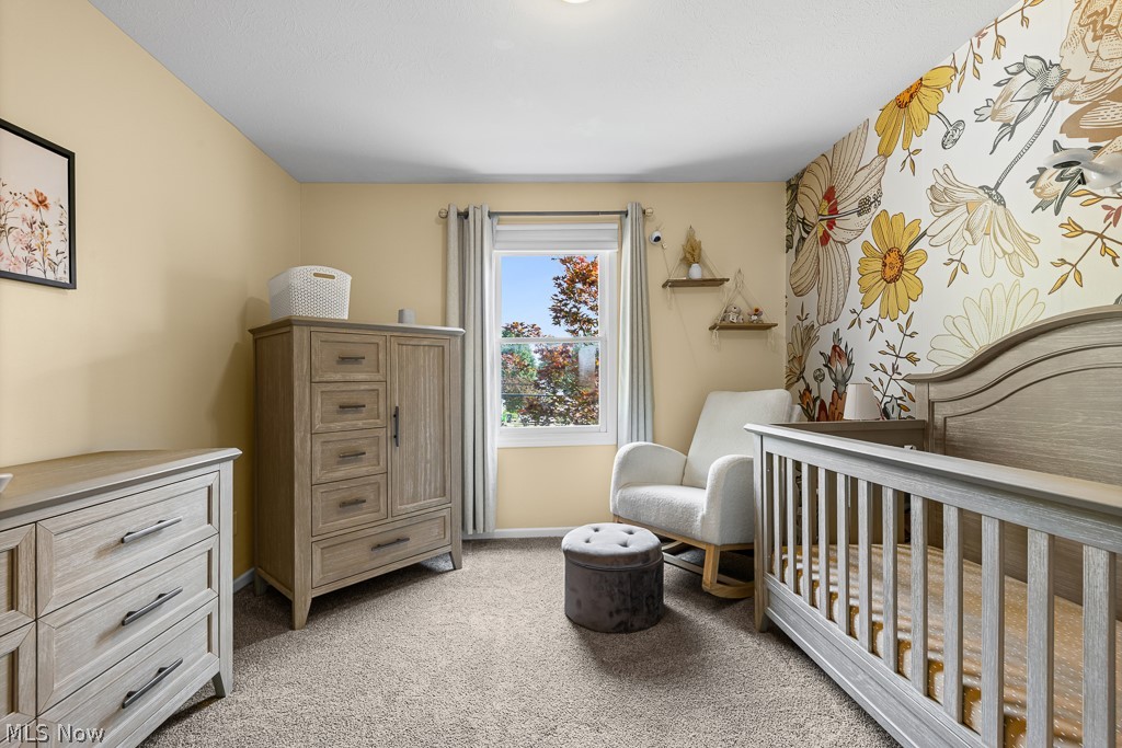 2517 Norton Road Hudson OH 44236
