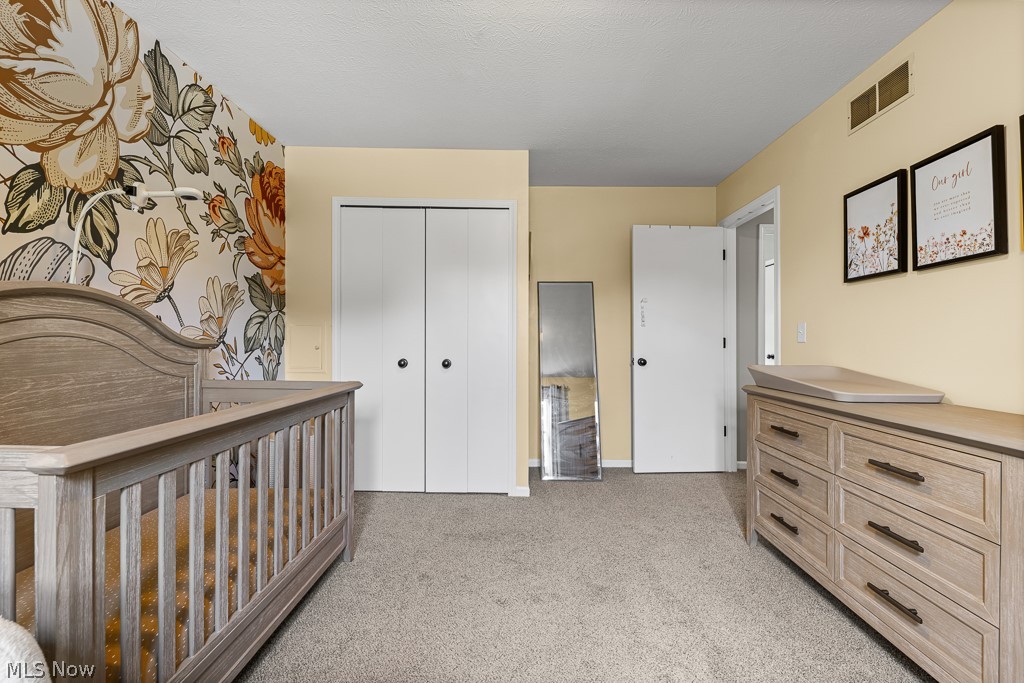 2517 Norton Road Hudson OH 44236