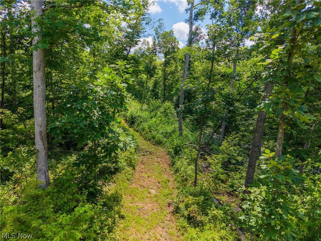 13648 Freedom Road Kimbolton OH 43749