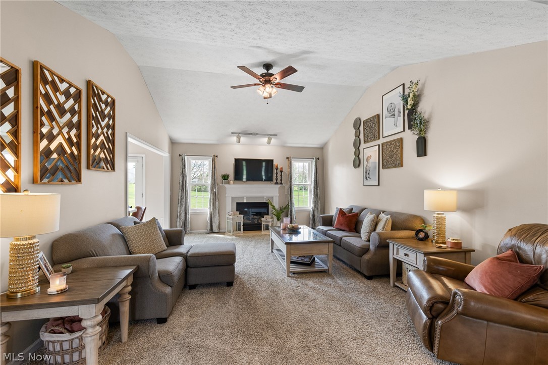 7287 Meadowhaven Drive Chippewa Lake OH 44215