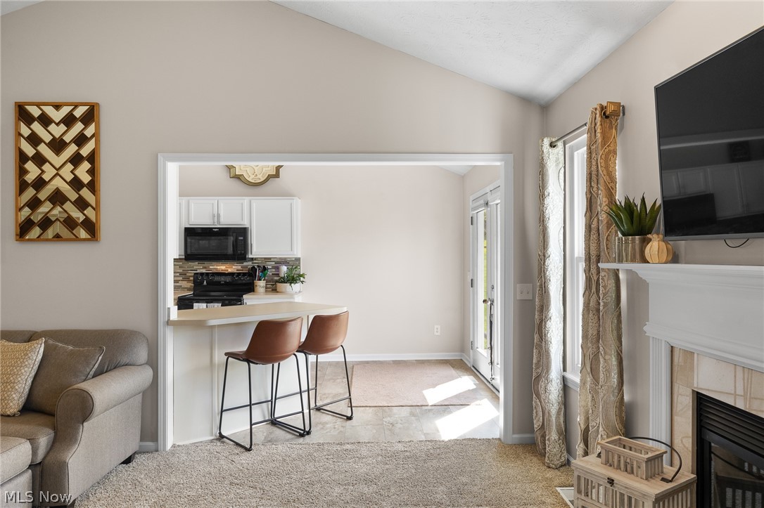 7287 Meadowhaven Drive Chippewa Lake OH 44215