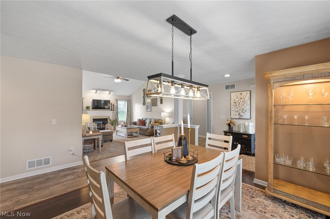 7287 Meadowhaven Drive Chippewa Lake OH 44215