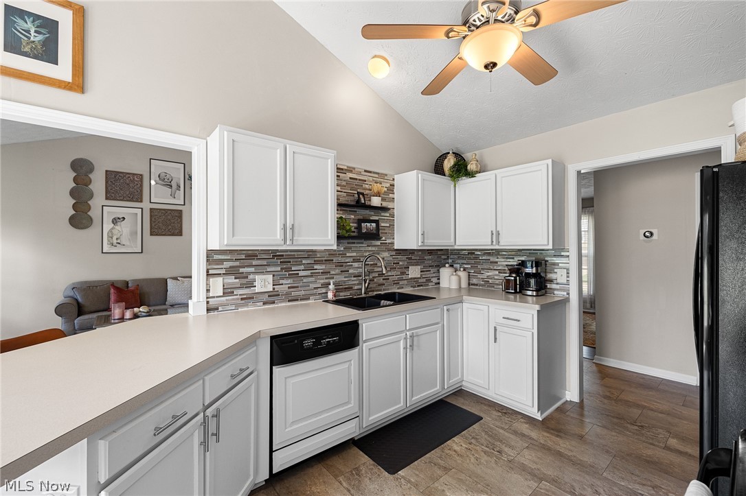 7287 Meadowhaven Drive Chippewa Lake OH 44215