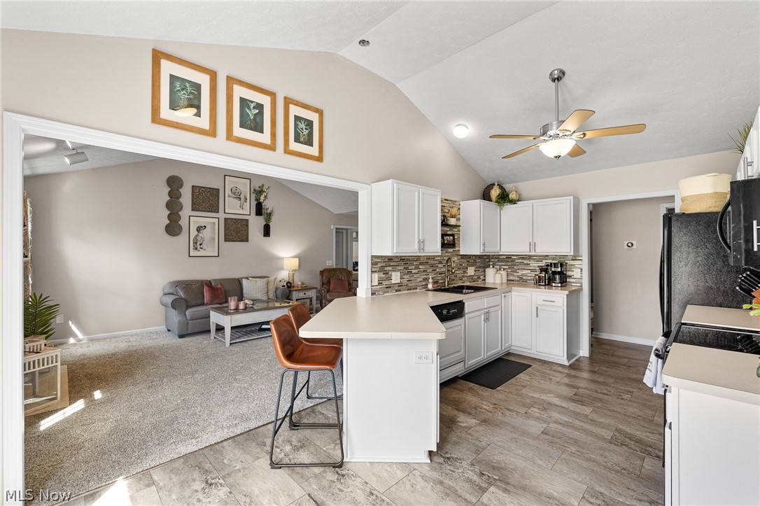 7287 Meadowhaven Drive Chippewa Lake OH 44215