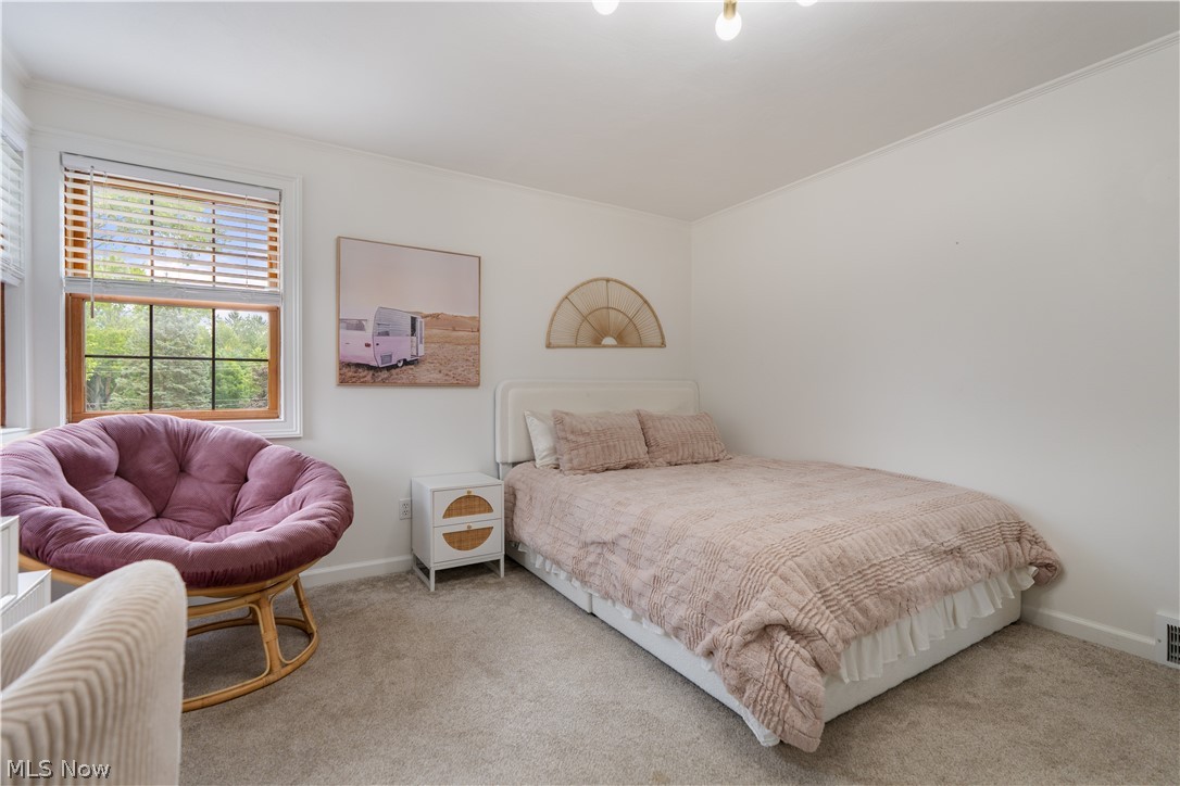 804 Overridge Avenue SE North Canton OH 44720