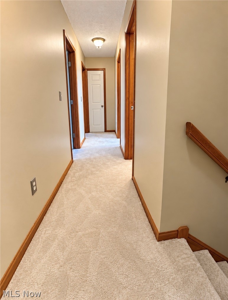204 Finch Drive Elyria OH 44035
