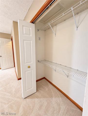 204 Finch Drive Elyria OH 44035