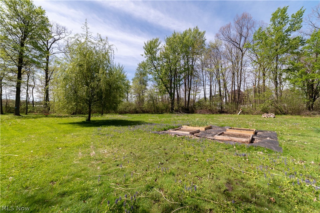 435 Park Avenue Poland OH 44514