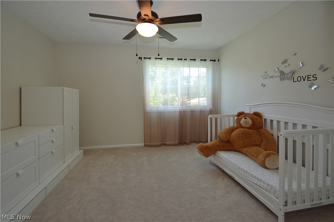 6231 Meadowbrook Drive Mentor OH 44060