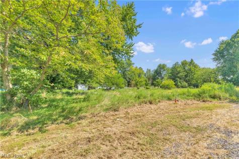 36913 Chestnut Ridge Road Lorain OH 44035