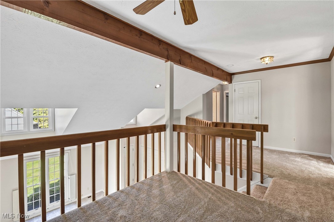 1055 Medfield Drive Rocky River OH 44116